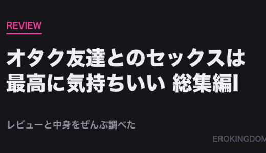 オタク友達とのセックスは最高に気持ちいい  総集編I